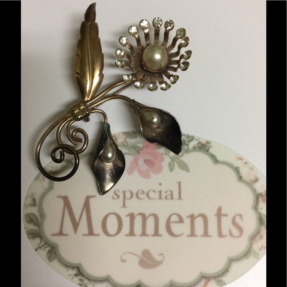 Meet your Posher, Rita - Picture 4 of 8