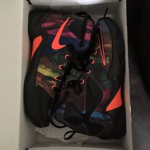 Lebron 13s worn a few times