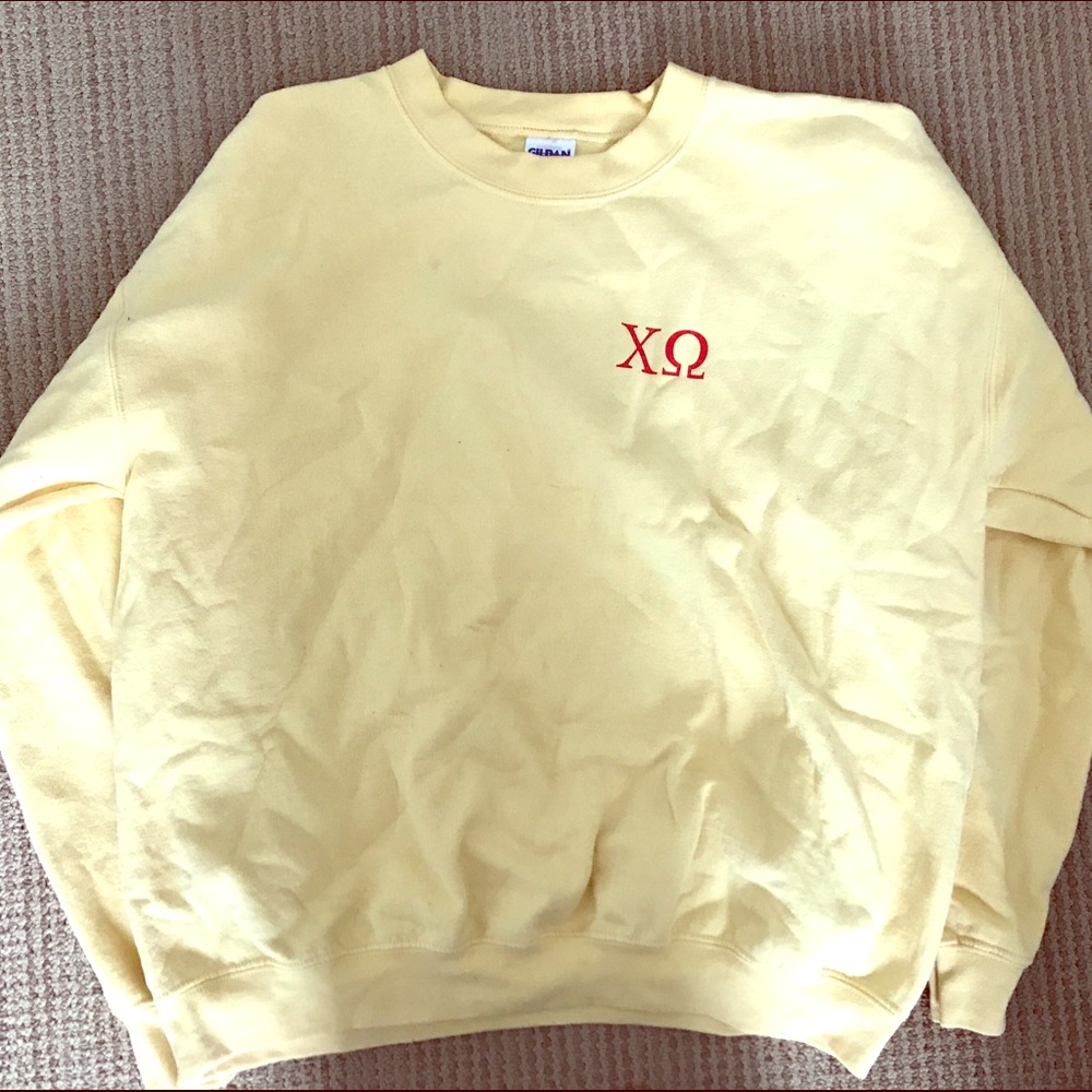 Chi Omega owl detailed long sleeve sweater!