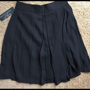 The Limited Eva Longoria Pleated Skirt