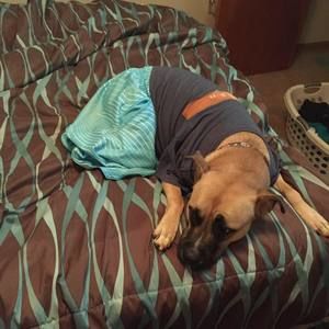 Meet your Posher, Brian