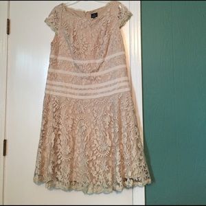 Adrianna Papell lace dress