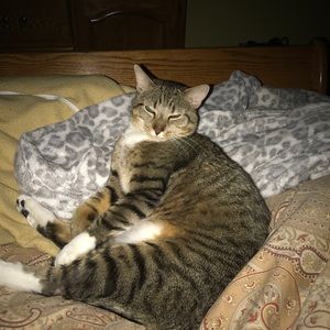 Meet your Posher, Kimberly