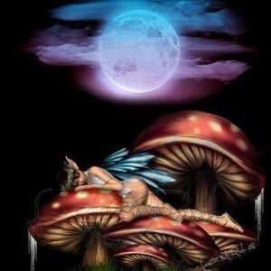 Meet your Posher, Dawn