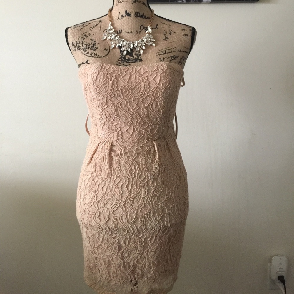 Rachel & Chloe Tan Lace Mini Dress sleeveless