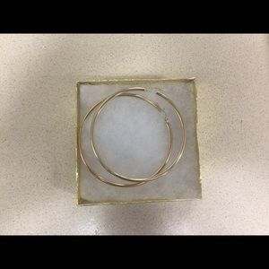 10k Gold Hoops