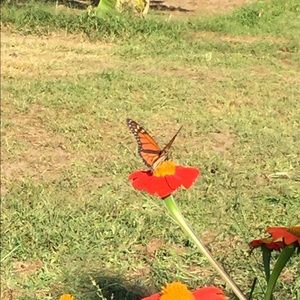 Meet your Posher, Deborah