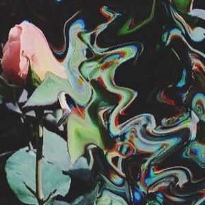 Meet your Posher, Juana