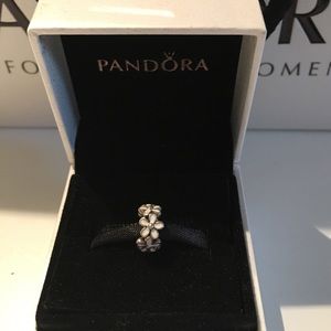 Pandora charm