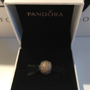 Pandora charm