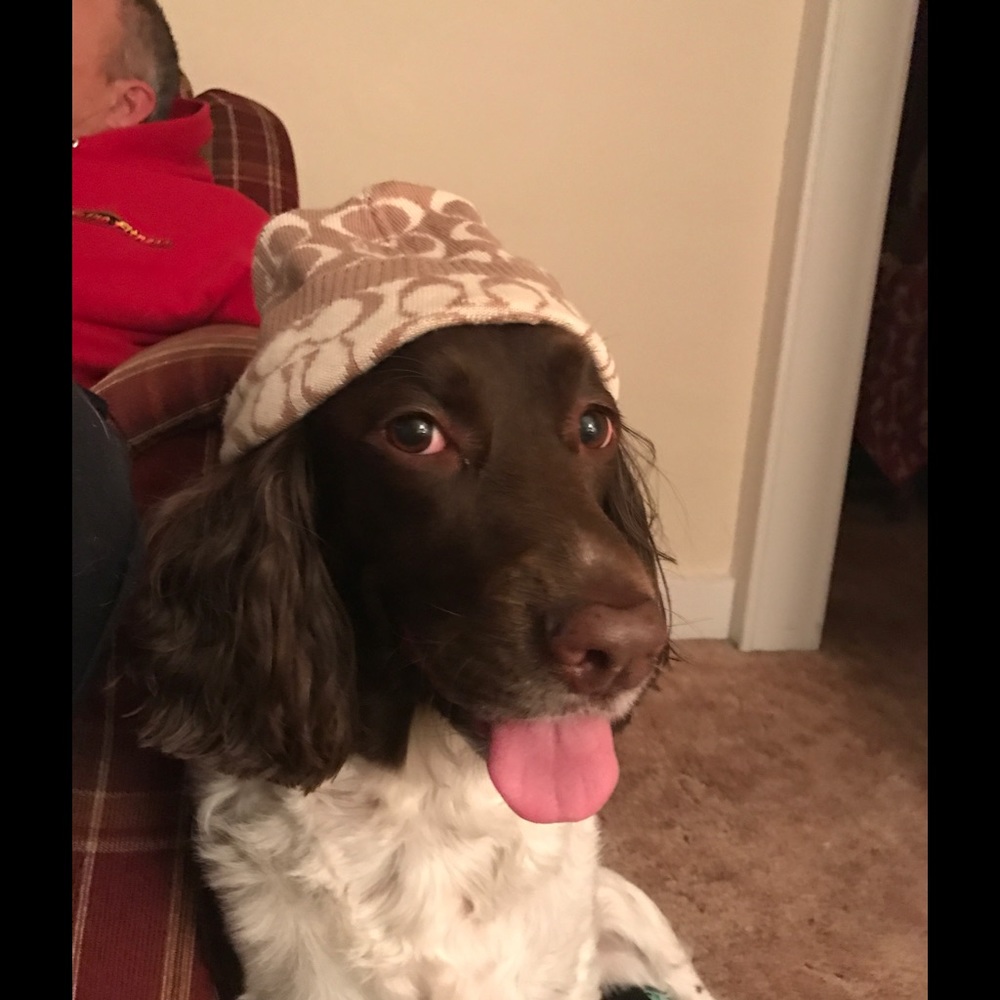 Meet your Posher, Vickie