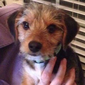 Meet your Posher, April