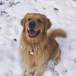 Meet your Posher, Gina