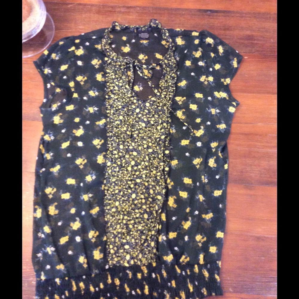 Sam and Max shear top