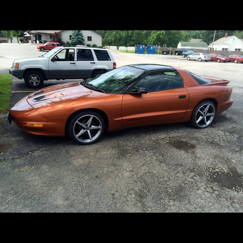 Meet your Posher, Nick