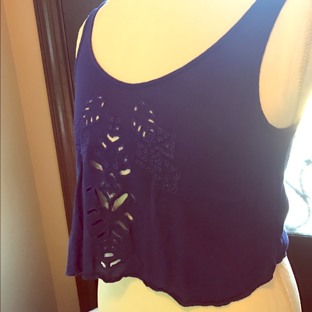 Huntingbird Embroidered Cobalt Blue Crop Top Small