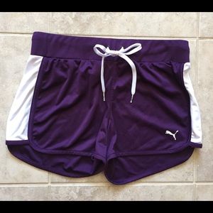 Puma Dry Cell Mesh Shorts in Plum