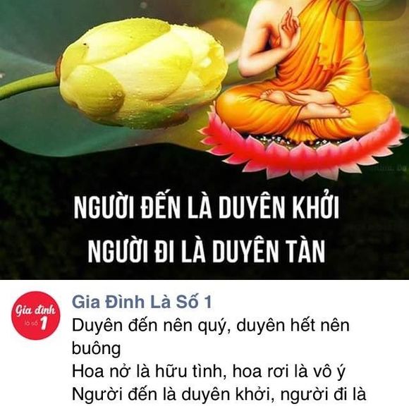 Meet your Posher, Tuan - Picture 1 of 1