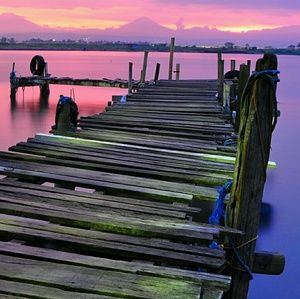 Meet your Posher, Taryn