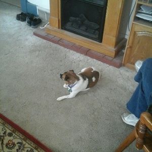 Meet your Posher, Penny