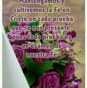 Meet your Posher, Naty