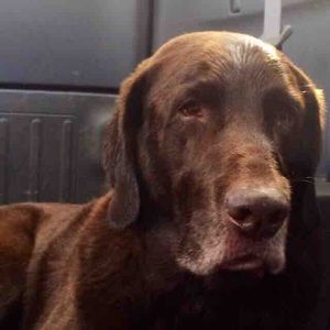 Meet your Posher, Bryan