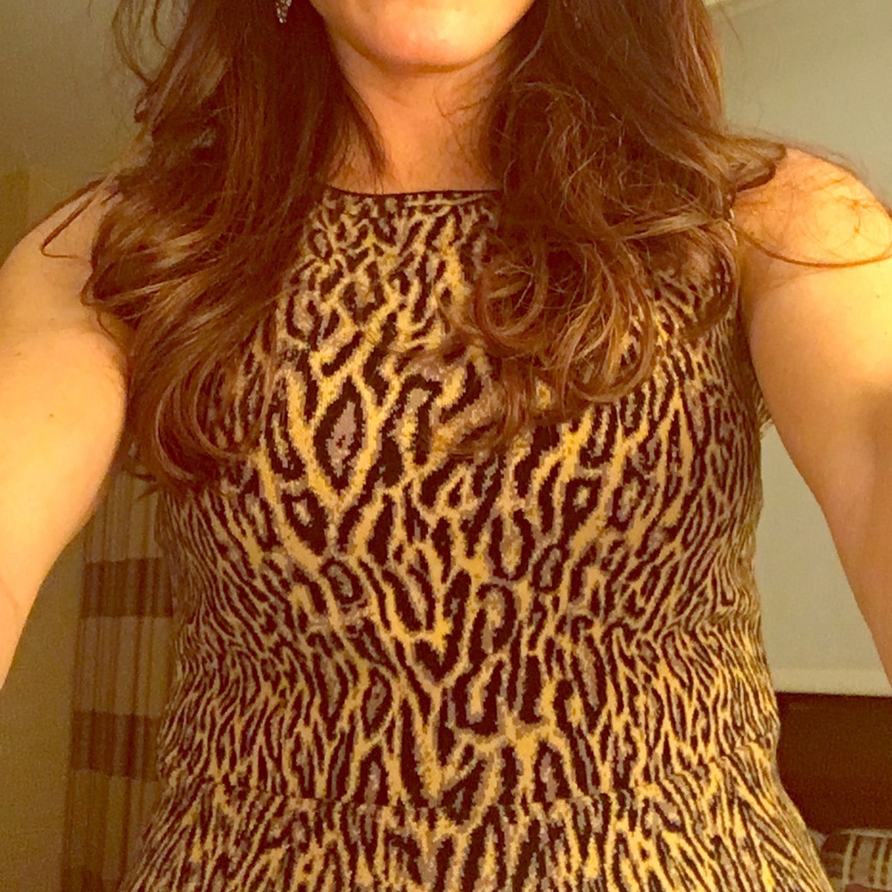 BCBG Maxazria Alonya Leopard Peplum Top.