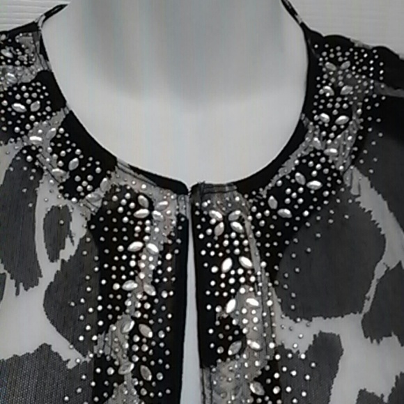 NWOT Peck & Peck Sheer Top - Picture 2 of 4