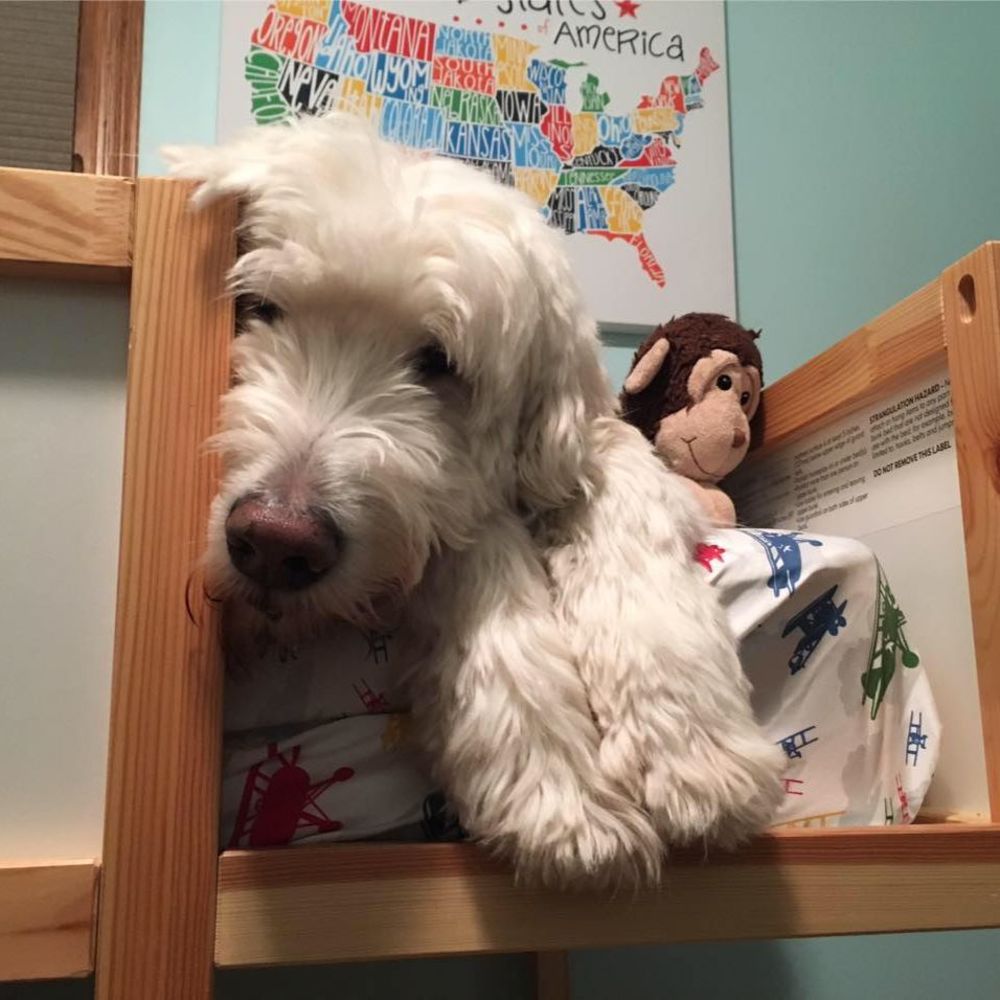 Meet your Posher, Brooke