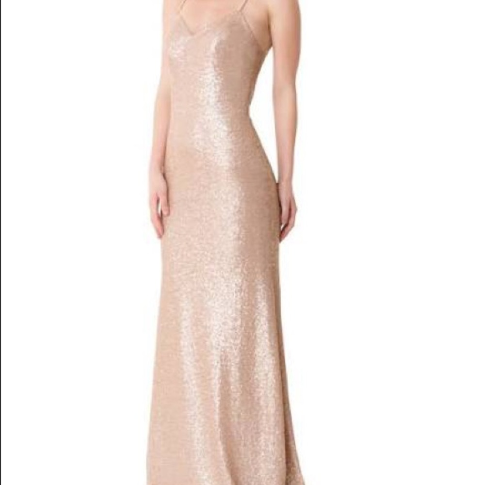 Bari Jay Champagne Gown!