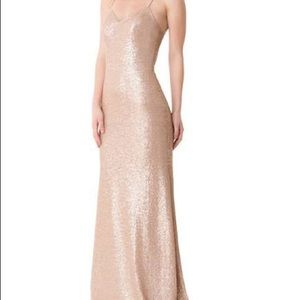 Bari Jay Champagne Gown!