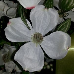 Meet your Posher, Amybeth