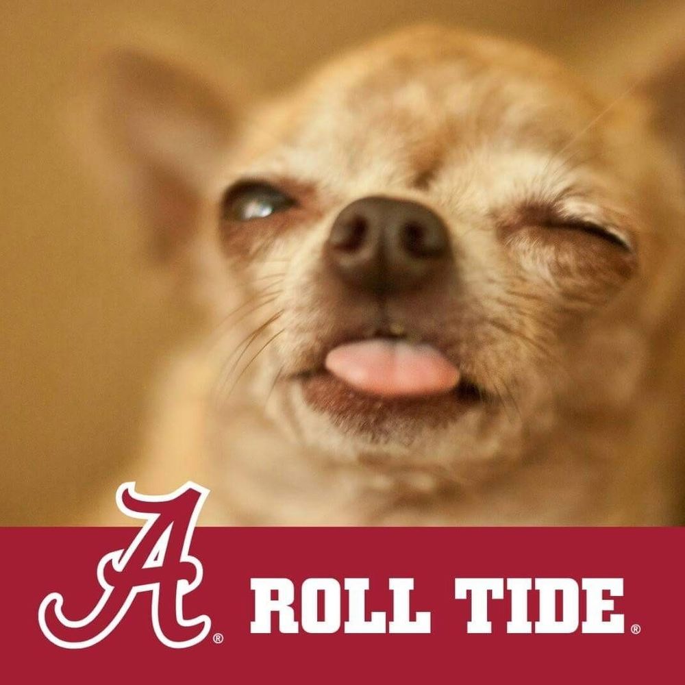 Meet your Posher, Sheila k