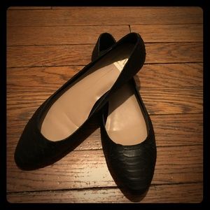 Dolce Vita Karena flat (black snake print leather)