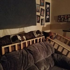 Meet your Posher, Dawn