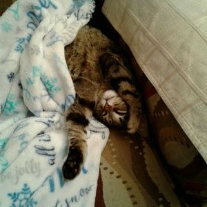 Meet your Posher, Bari