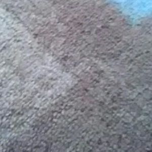 Meet your Posher, Larry