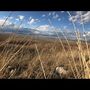 Meet your Posher, Kaeden