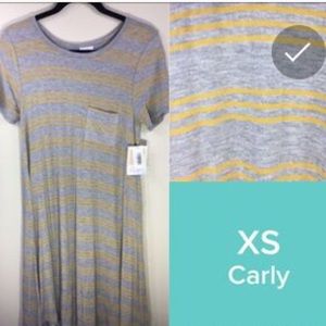 LuLaRoe Carly swing dress