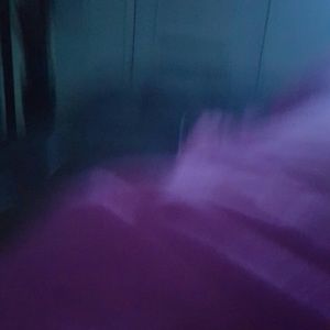 Meet your Posher, Demetria