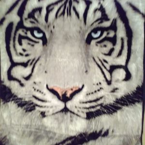 Meet your Posher, Thomas