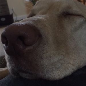 Meet your Posher, Audrey