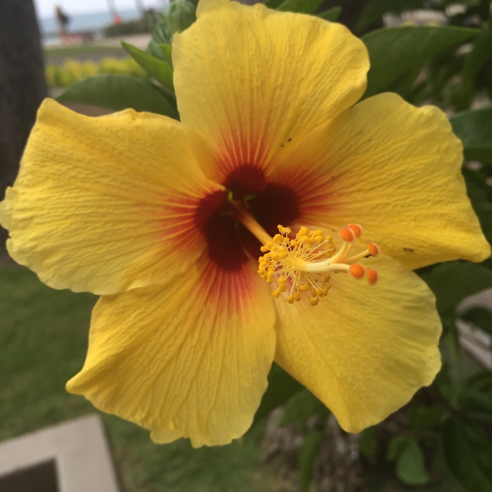 Meet your Posher, Shelly