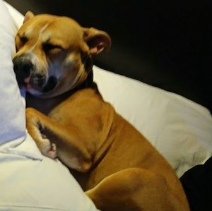 Meet your Posher, Tracey