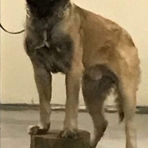 Meet your Posher, Anna