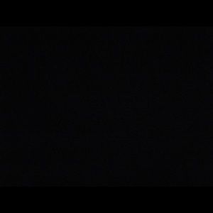 Meet your Posher, Bailey