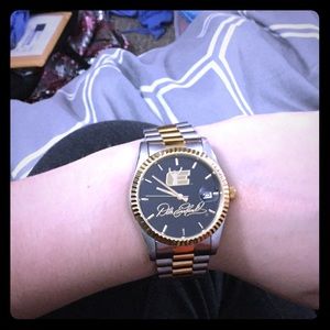 🆕The Bradford Exchange Dale Earnhardt watch