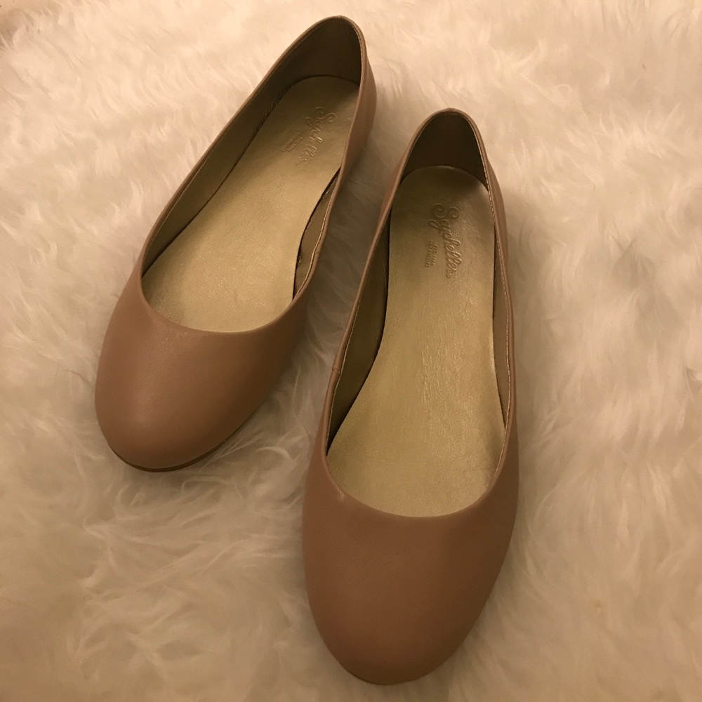 Seychelles Gala Flats!