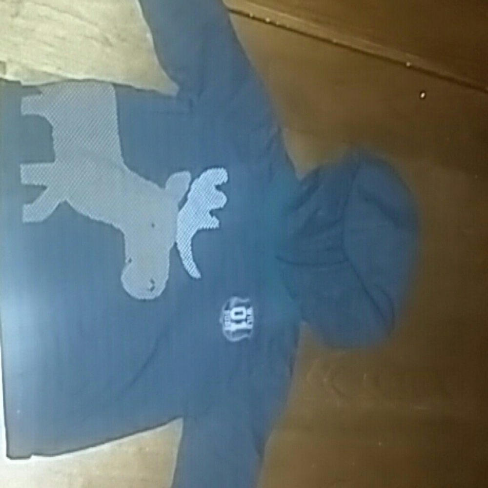 Baby boys sweat shirt