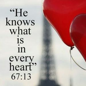 Meet your Posher, Eva